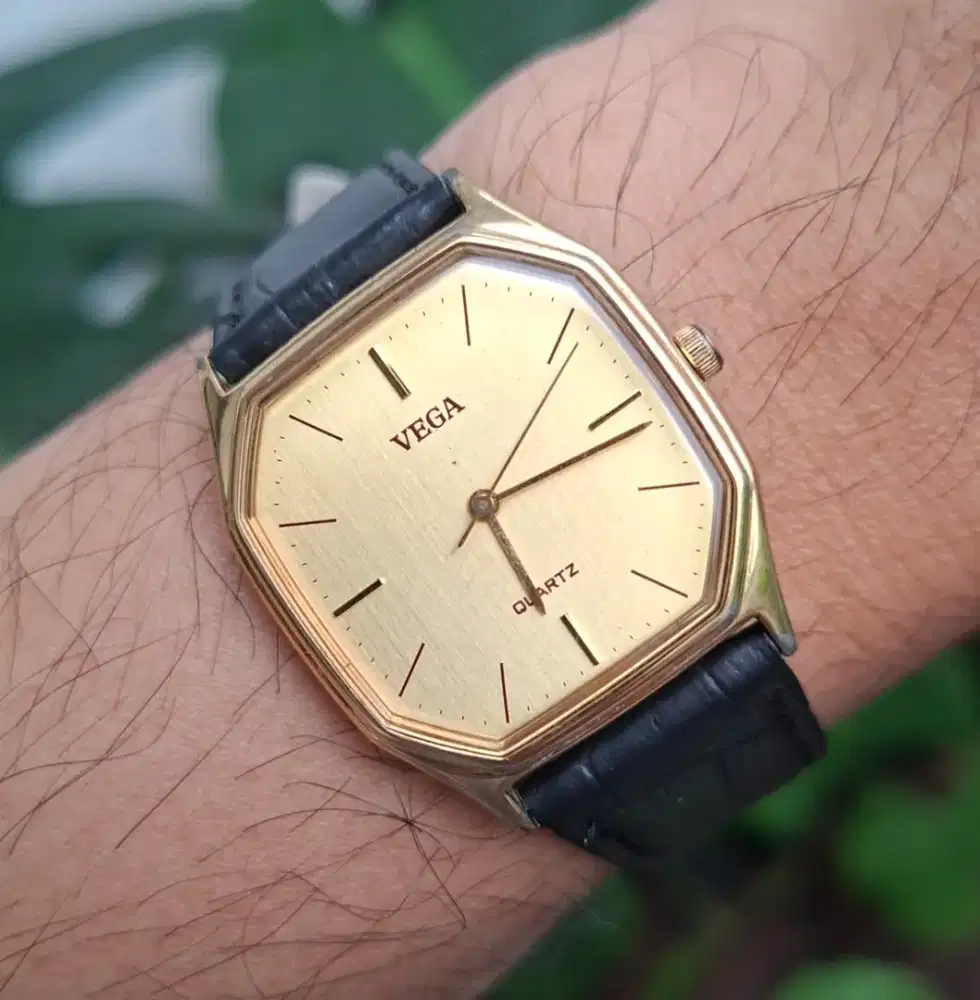 Citizen vega tank