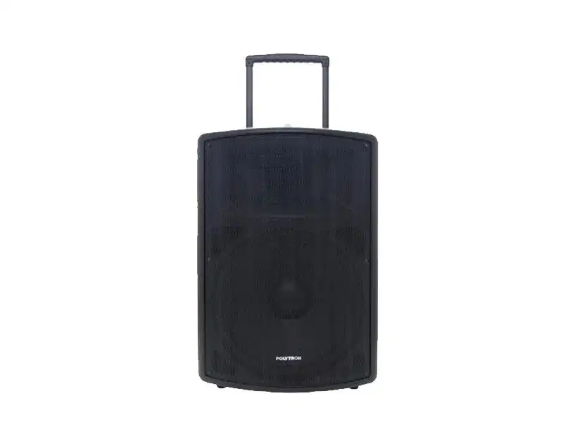 polytron active speaker paspro 15F3