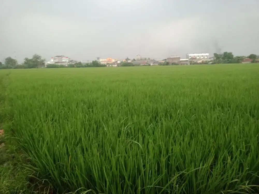 Tanah Strategis Karawang Timur Luas 84.000 m² – Cocok untuk Gudang & Industri