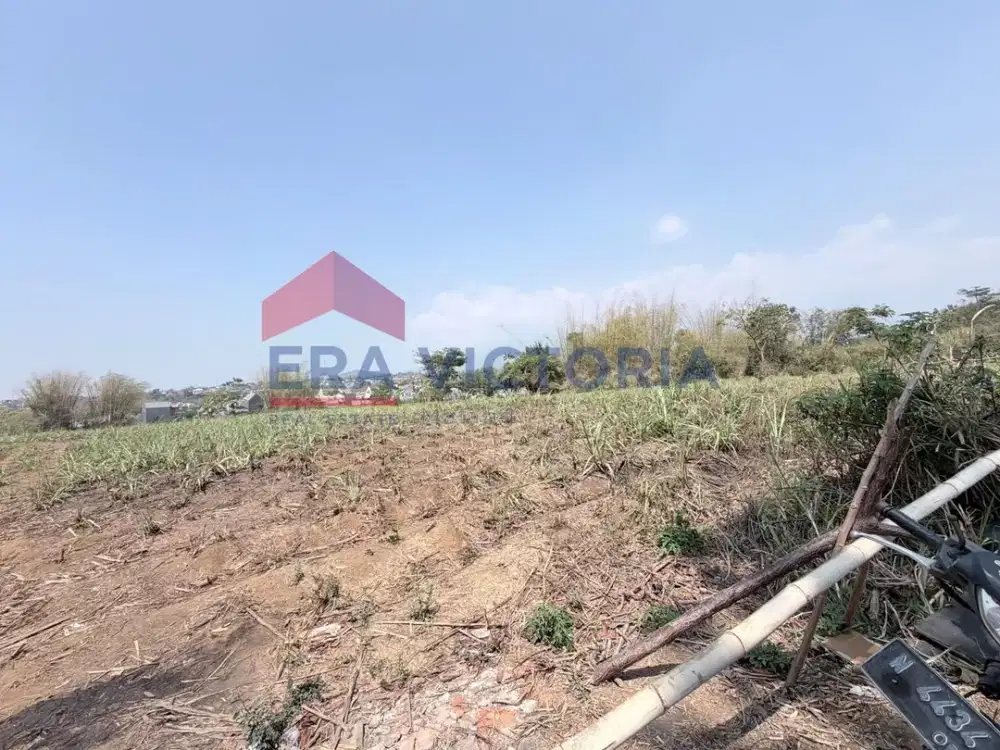 Dijual Tanah Luas Merjosari Dekat Kampus Malang