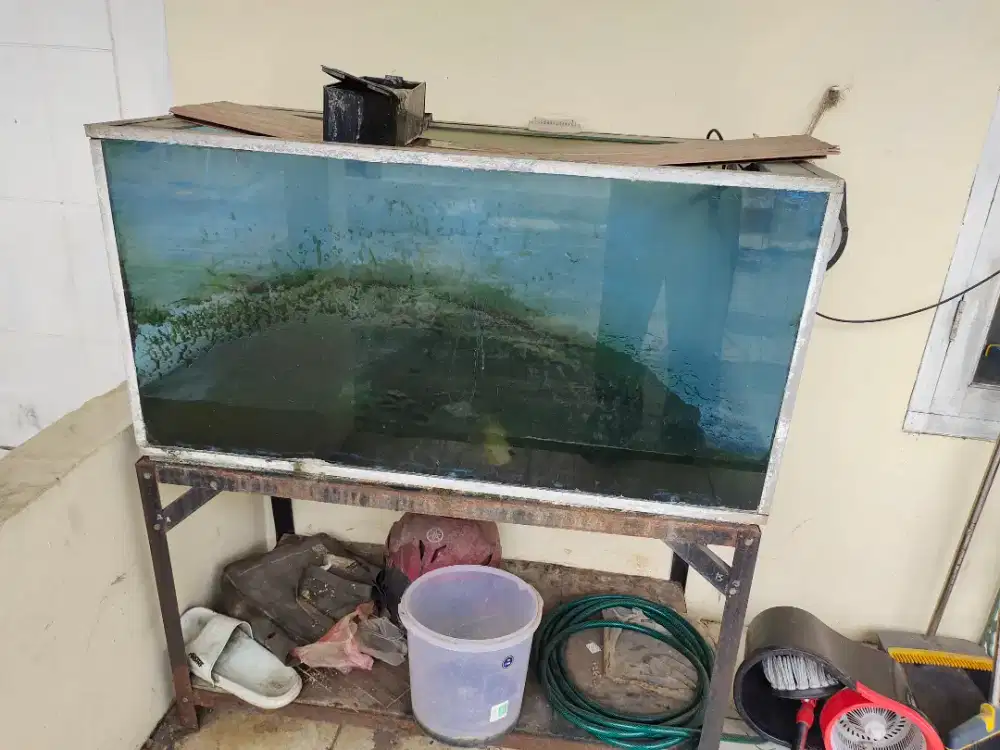 Aquarium ikan kondisi Bocor