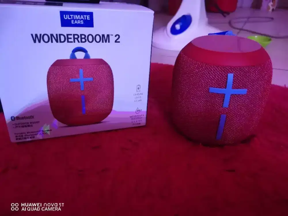 Ue wonderboom II