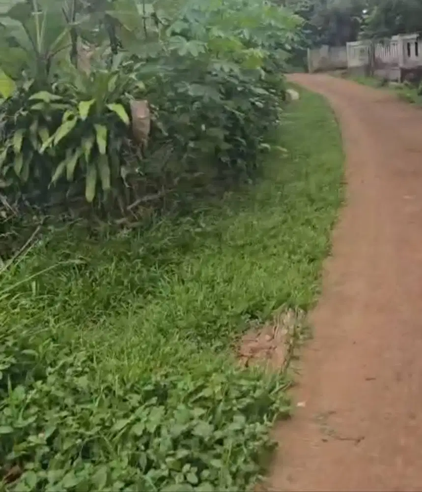 DIJUAL TANAH KEBUN, TANAH DARAT & SAWAH PRODUKTIF DI JONGGOL