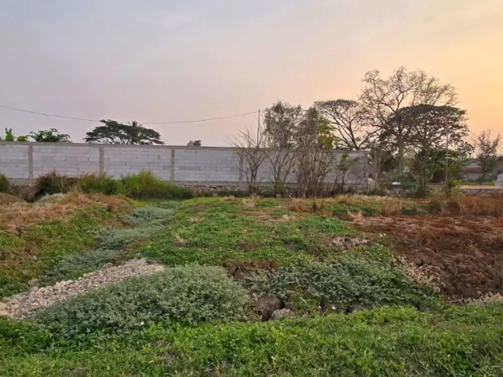 Tanah Luas Cocok Untuk Bangun Rumah dan Kosan di Sukatani Cikarang