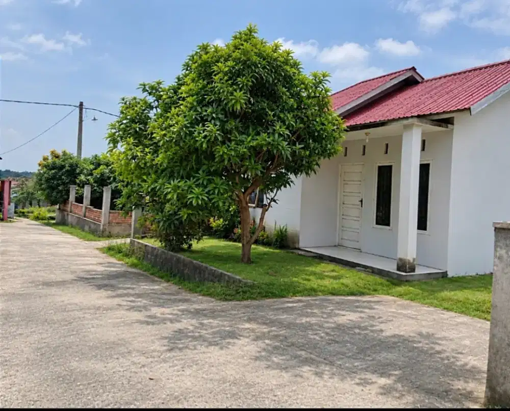 Rumah tipe 36, rumah yang nyaman teduh tenang dekat Kampus UIR