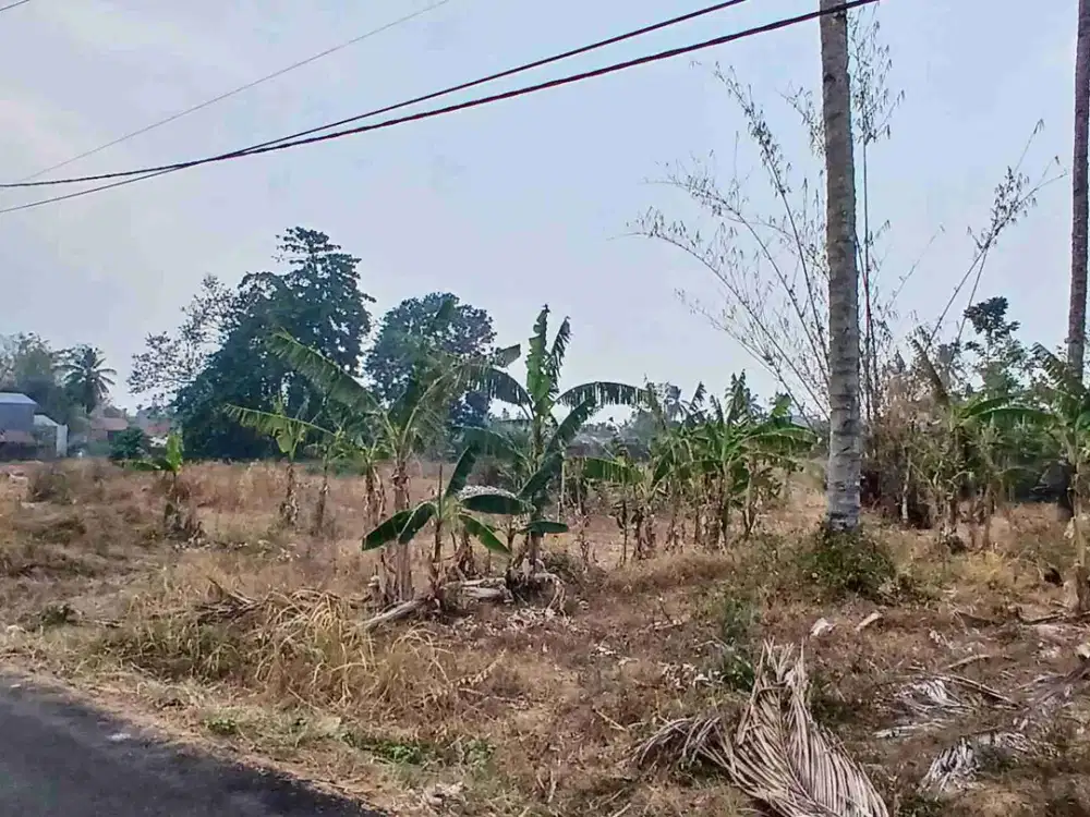 Dijual tanah rata, strategi.