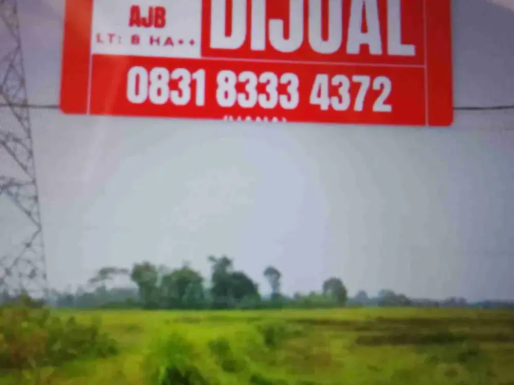 TANAH LAHAN KUNING