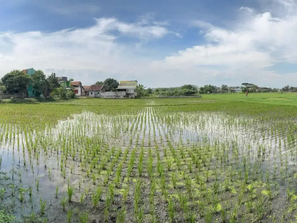 Tanah Luas & Strategis Jl Walini Rancaekek Cocok Untuk Investasi/Usaha