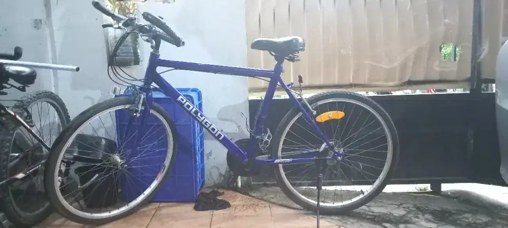 Sepeda Polygon Custom