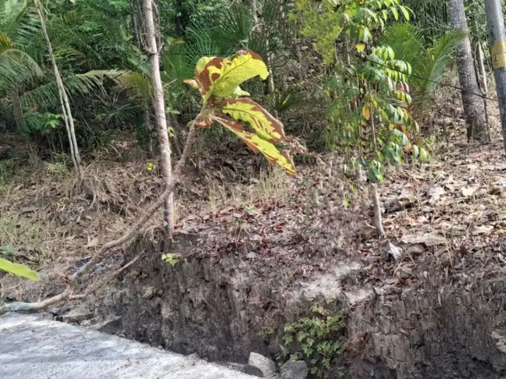 Tanah Pekarangan Luas Murah di Kasihan Bantul#Kode : TP 159