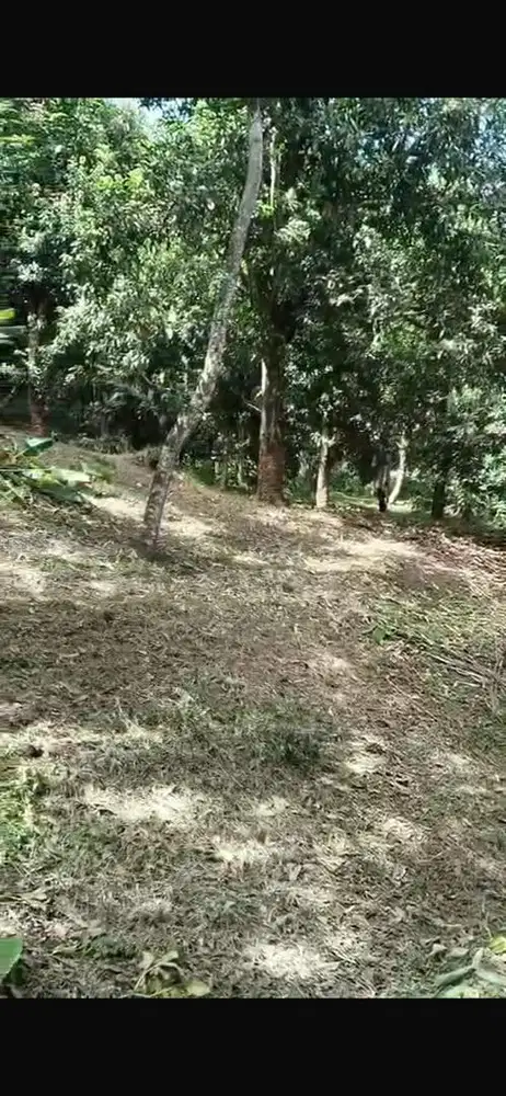 Dijual Tanah Lokasi Strategis