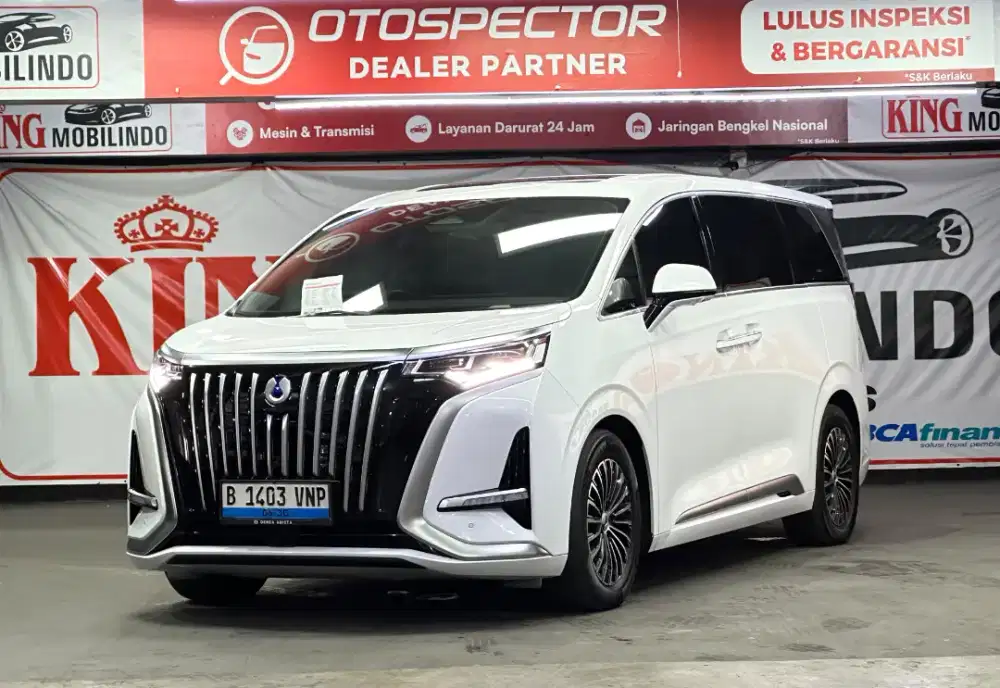 Denza D9 EV Matic 2025