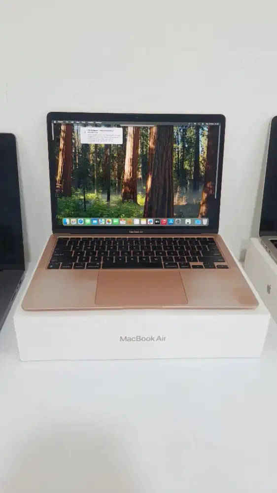 MACBOOK AIR M1 ROSEGOLD FULLSET 8/256 GB 13