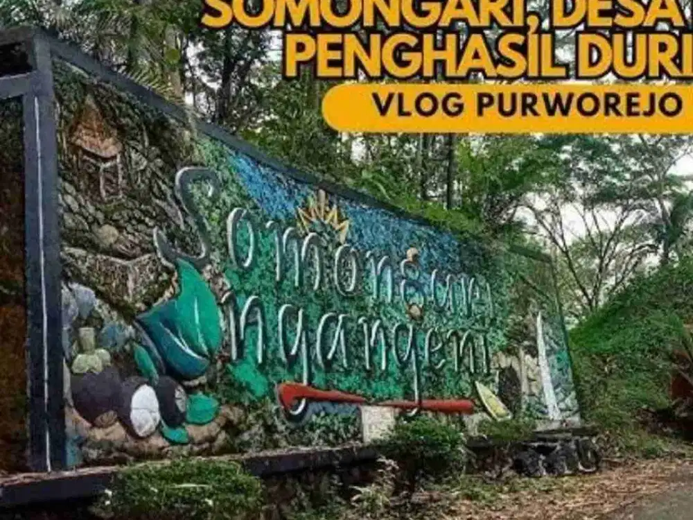 DIJUAL TANAH MURAH PURWOREJO, SOMONGARI KALIGESING. COCOK UNTUK KEBUN DURIAN ATAU KEBUN BUAH