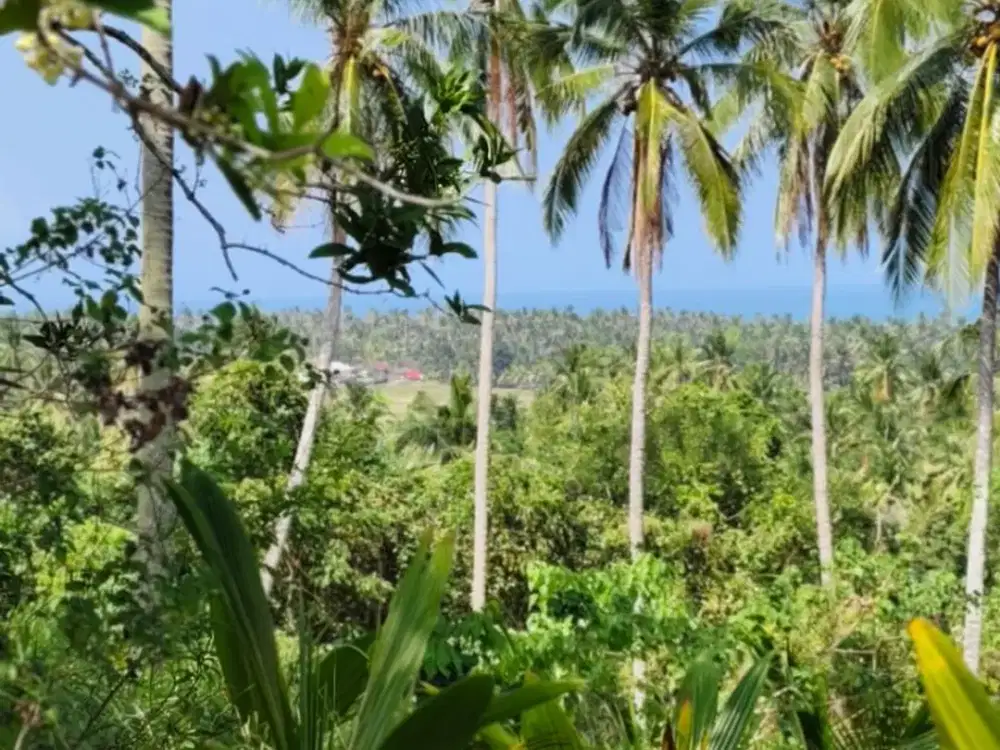 Dijual Lahan Murah Luas Lebar Dekat Menuju Pantai Balian