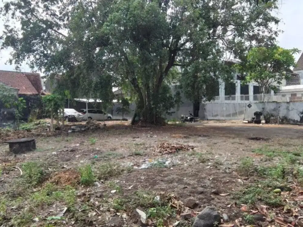 Dijual Tanah Pekarangan Kayen Condong Catur - Peluang Investasi Menarik