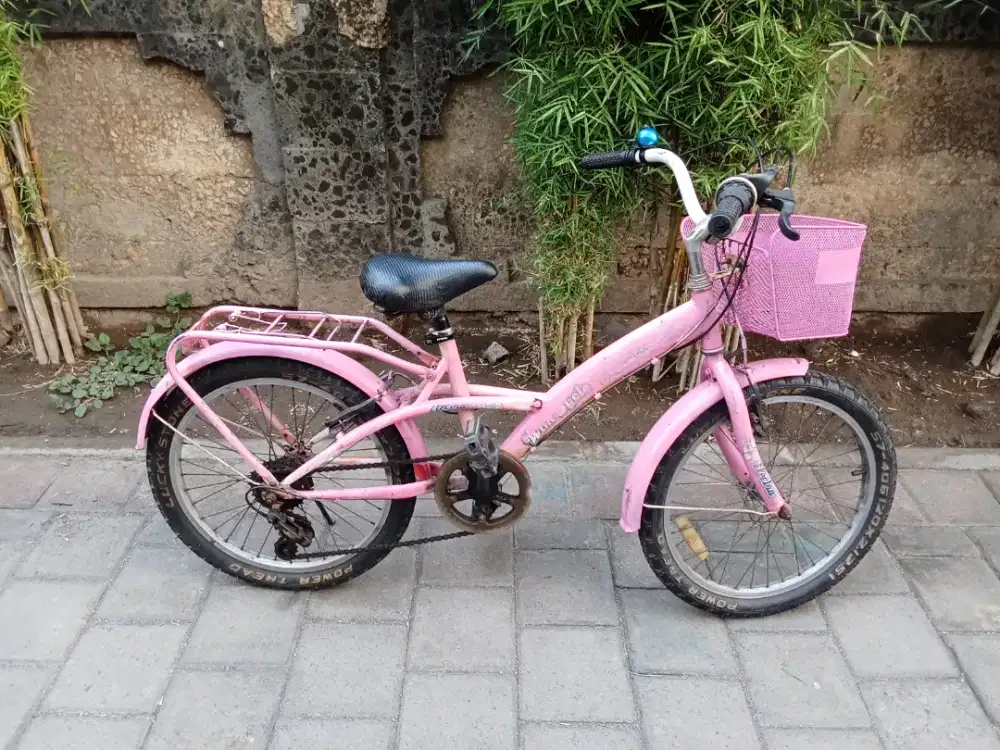 Sepeda anak WIMCYCLE ELECTRA R 20 6 speed