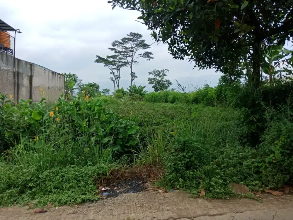 DIJUAL CEPAT TANAH DIRANCAWAAS MAJALAYA