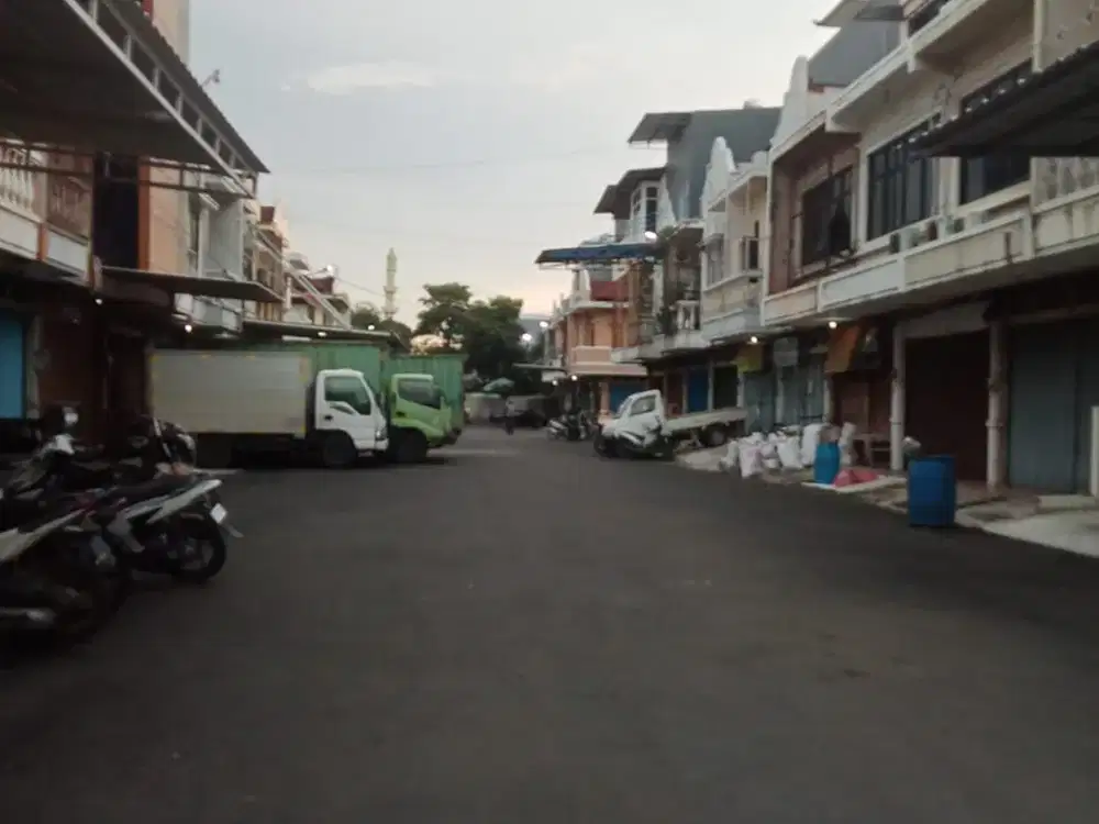 Disewakan Ruko Murah di Komplek 1000 Taman Palem Lestari