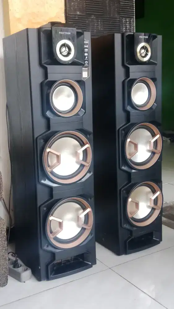 POLYTRON PAS 8E28
