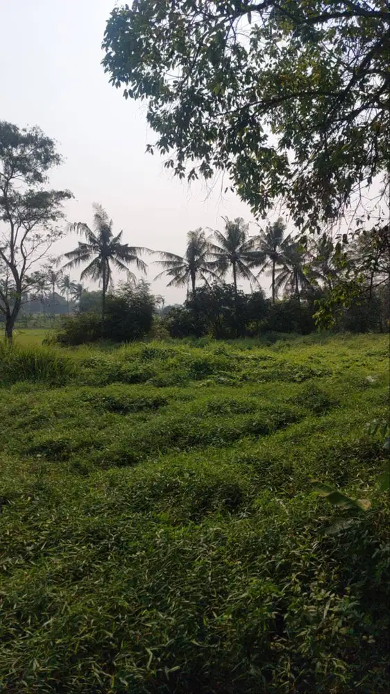 JUAL TANAH BALARAJA 3744 M2