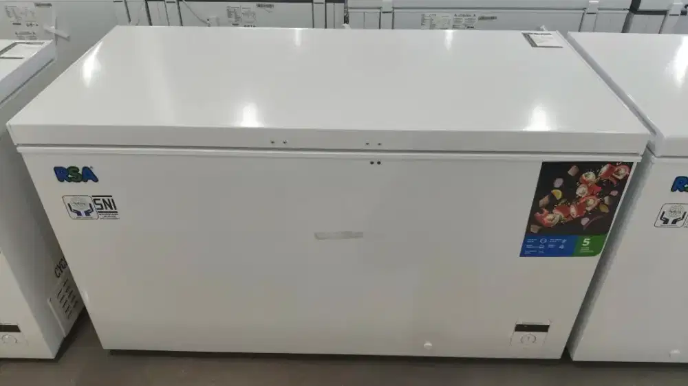 Freezer Box RSA CF-460