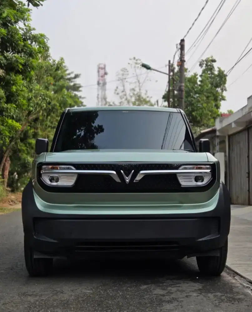 Vinfast VF3 Include Battery 2025