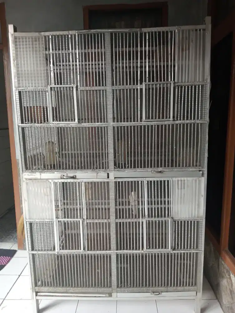 Kandang ternak ex perkutut