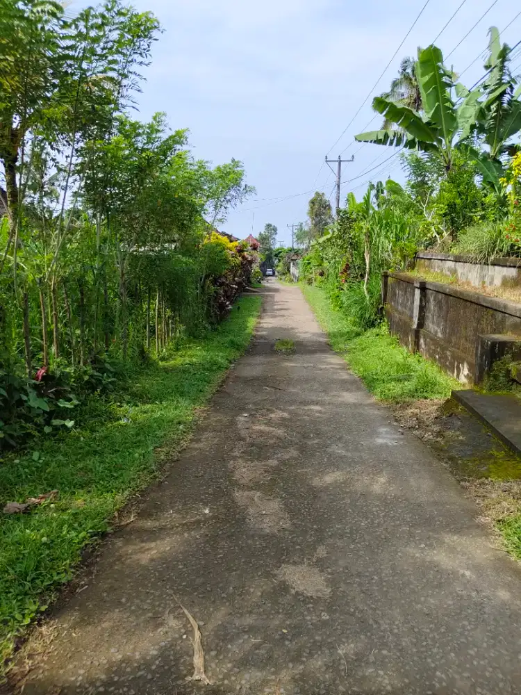 Di jual tanah murah terletak di daerah payangan Gianyar bali