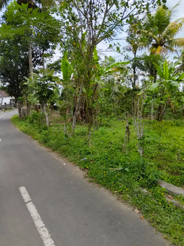 Di Jual tanah murah lokasi tampaksiring Gianyar bali