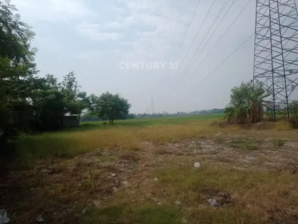 Tanah Strategis Di Karawang Timur Luas 84000m Cocok Untuk Gudang