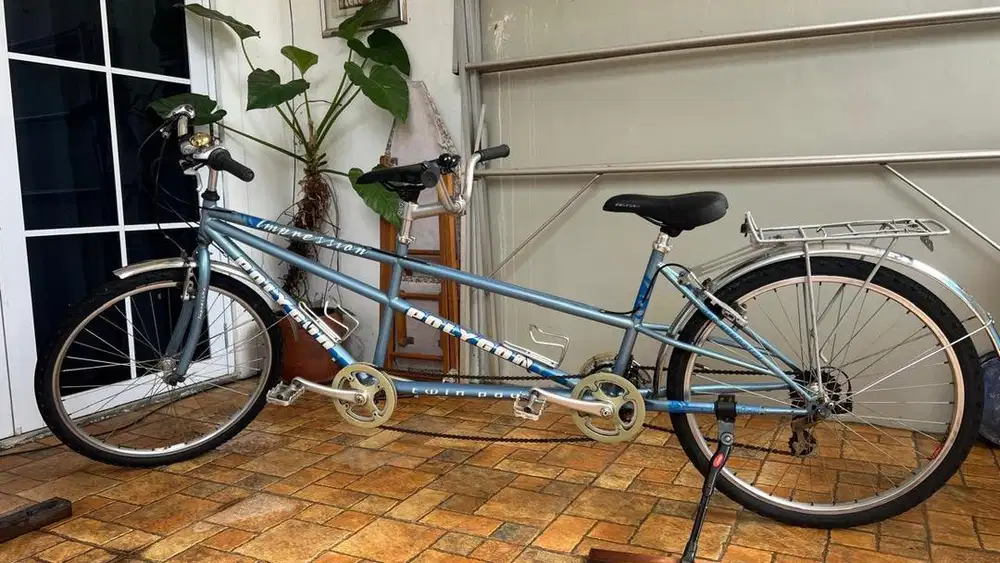 Sepeda Tandem  - Polygon Impression