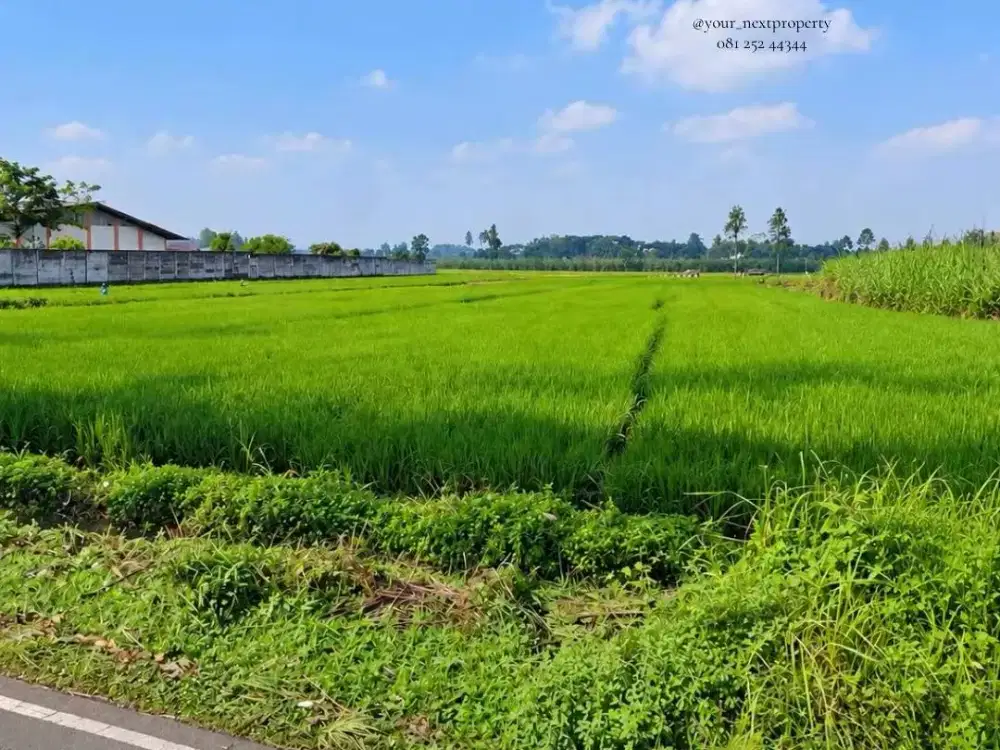 Lahan Strategis Di Poros Jalan Raya Tlogowaru Kedungkandang Kota Malang