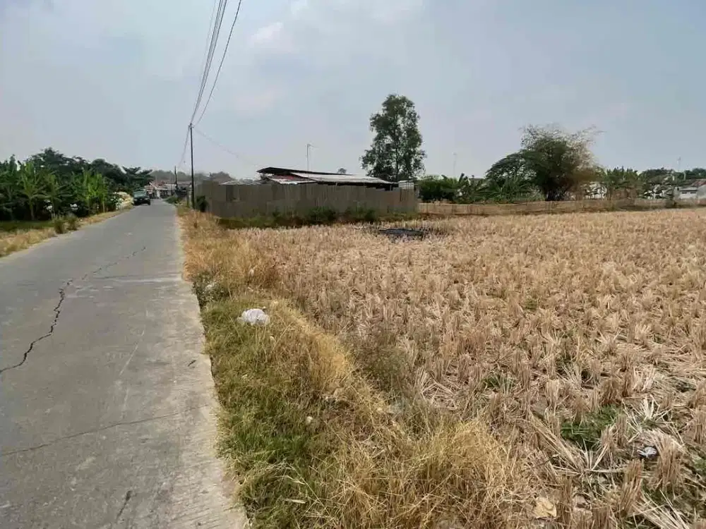 DijuaL Sawah Tadah Hujan Luas 4142 m Bisa Dijadikan Kebun, Kolam Ikan, Peternakan dan Cluster surat SHM diKarawang