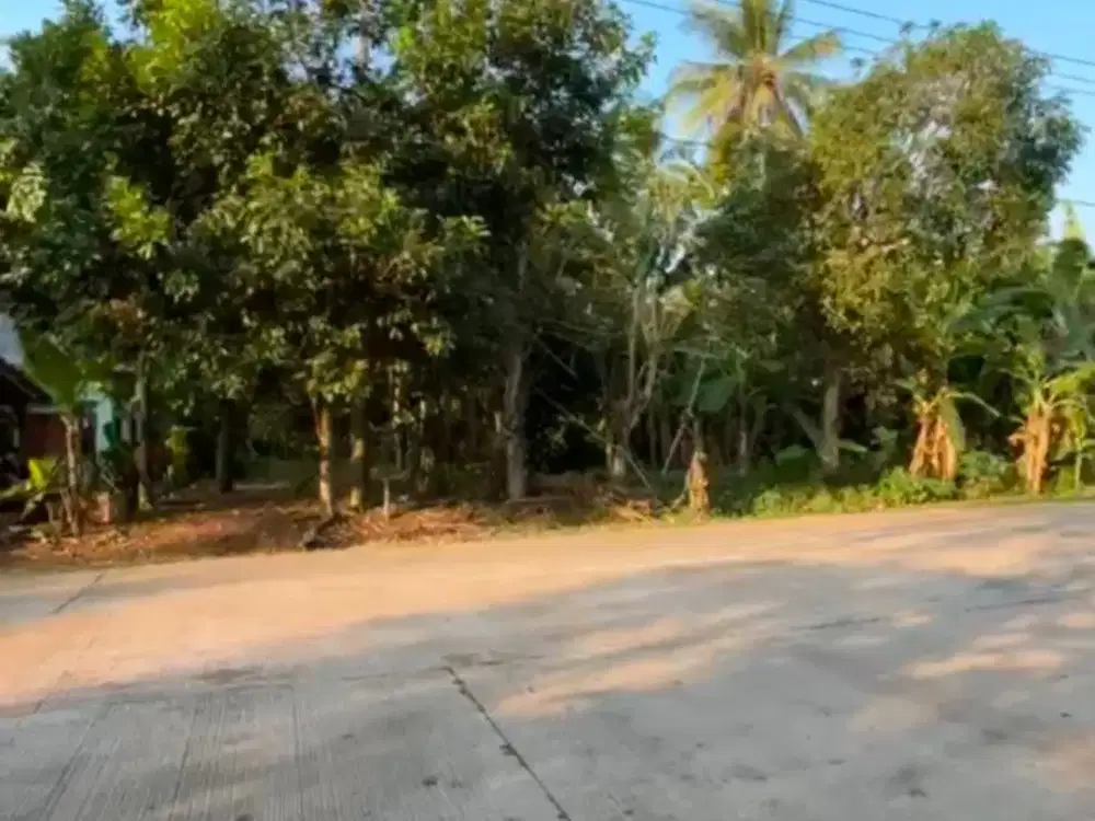 Tanah Luas Pinggir Jalan Besar Utama Dijual Harga di Bawah Pasar Dekat Pantai Lagundi Anyer di Cinangka Serang Banten