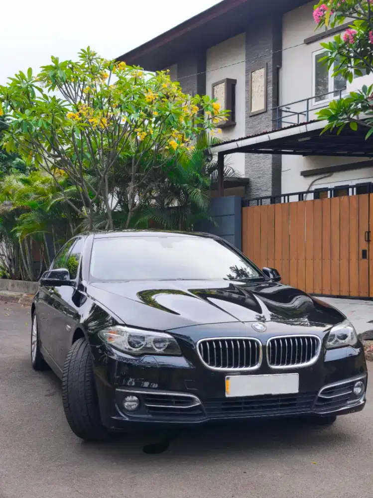 BMW 528i Luxury 2015 (NIK 2015)
