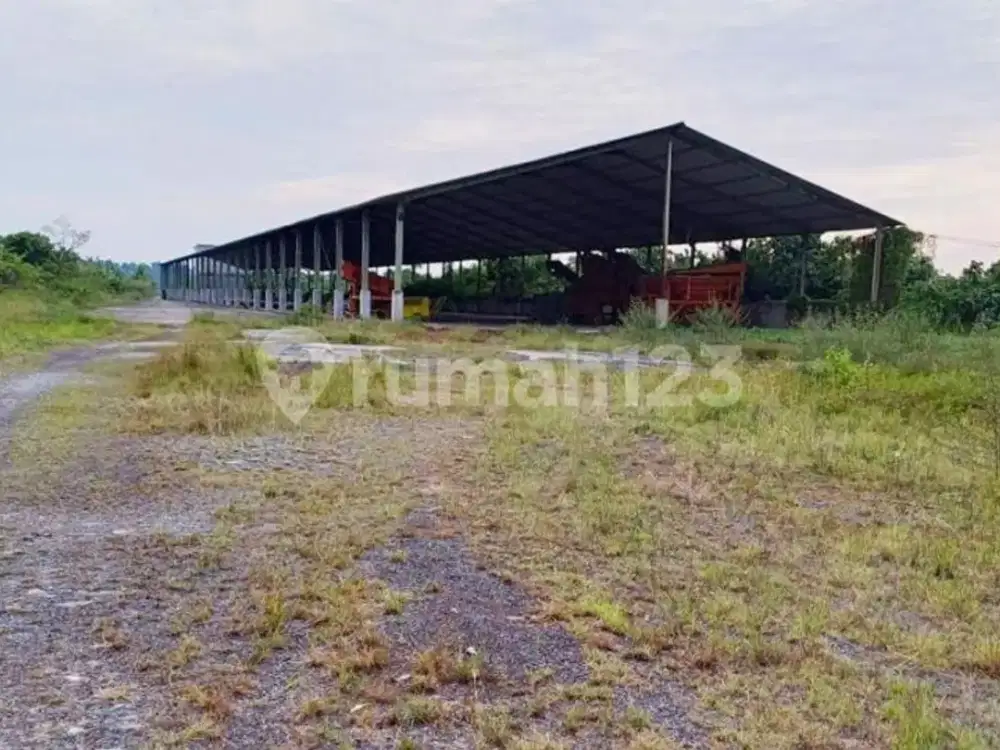 Dijual Tanah Memanjang Hingga Tepi Sungai Beserta Bangunan; Rumah Walet, Unit Gudang, dan Unit Dermaga di Jl. Raya Jungkat