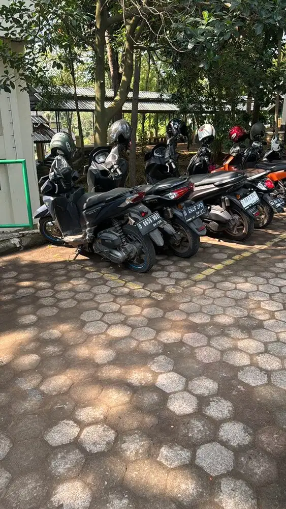 DICARI DRIVER MOTOR