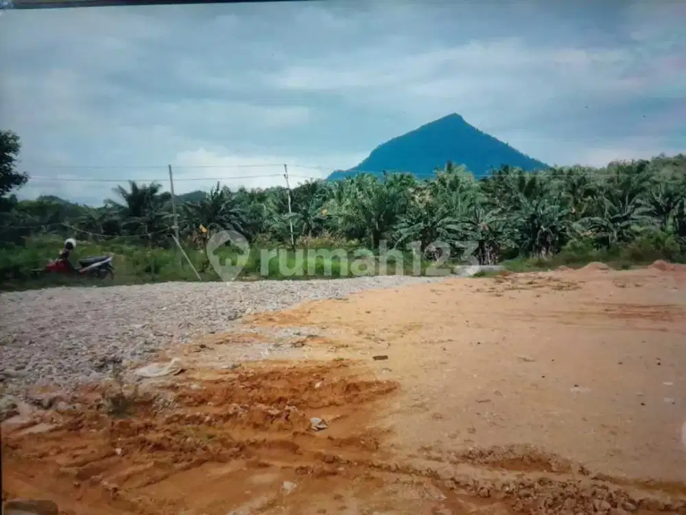 Tanah Luas di Poros Jalan Raya Entikong, Kab. Sanggau, Jl. Lintas Malindo
