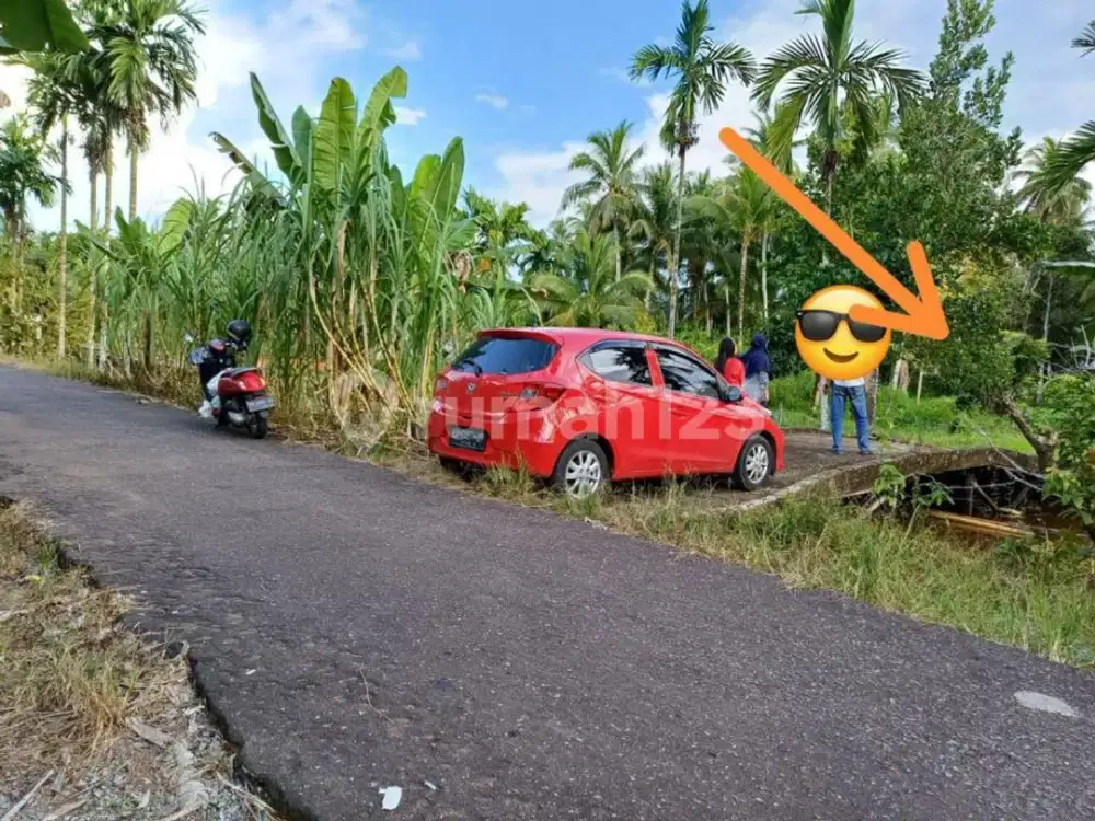 Dijual Tanah Luas Strategis Tepi Jalan di Jl Raya Kakap Pal 9
