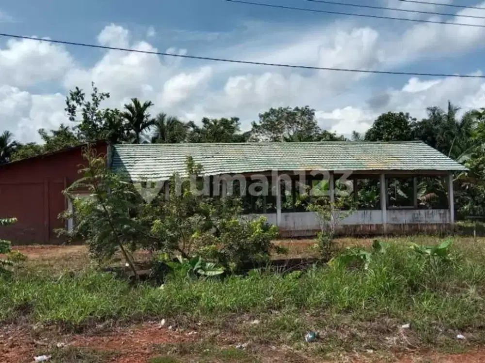 Tanah Luas di Tepi Jalan Raya Trans Kalimantan KM 50