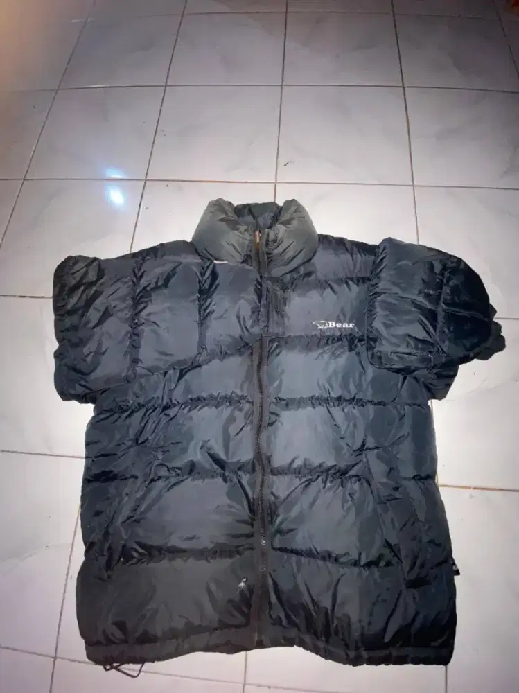 jaket puffer bear us