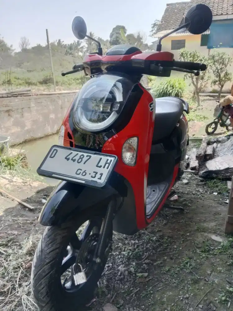 Scoopy 2024 new model