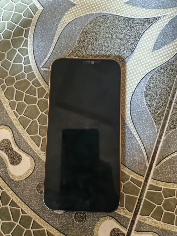 Dijual hp iphone 12 promax 256 gb inter bh 73 %