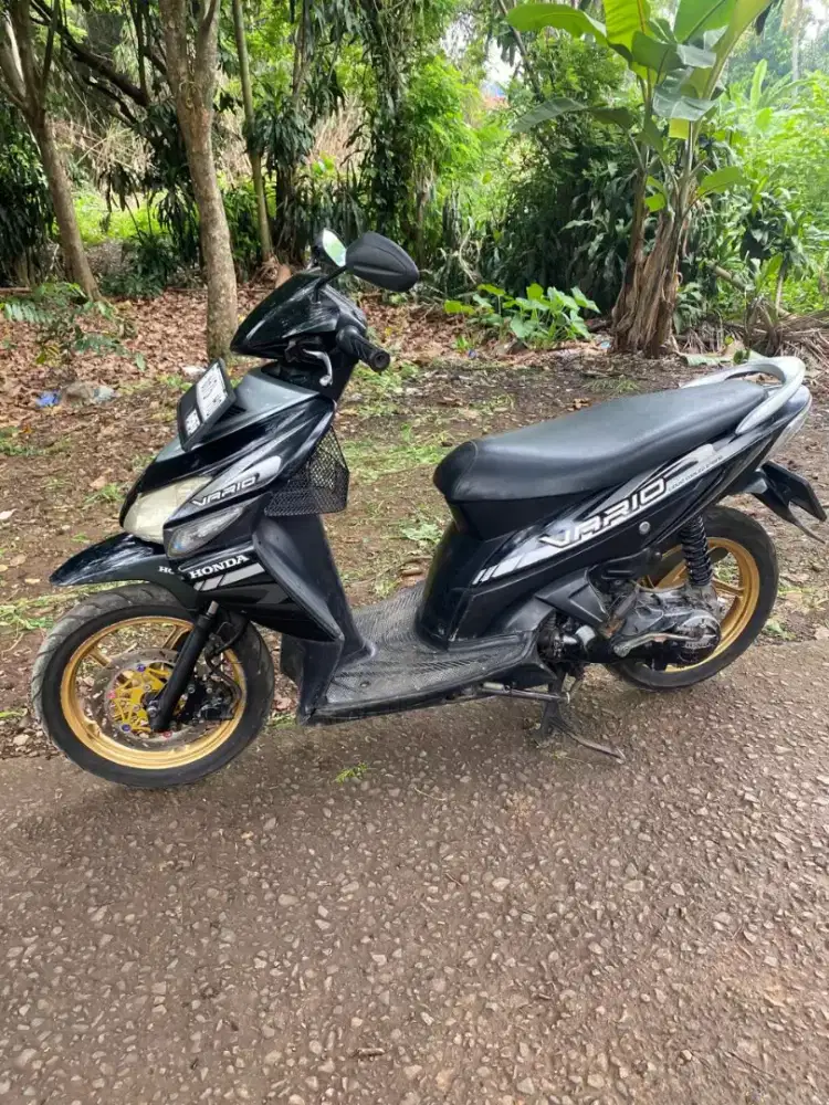 Vario karbu 2010