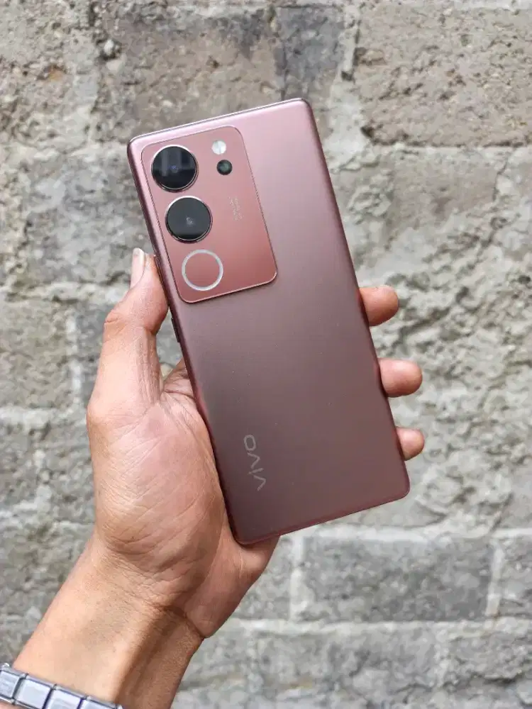 Vivo V29 5G pullset