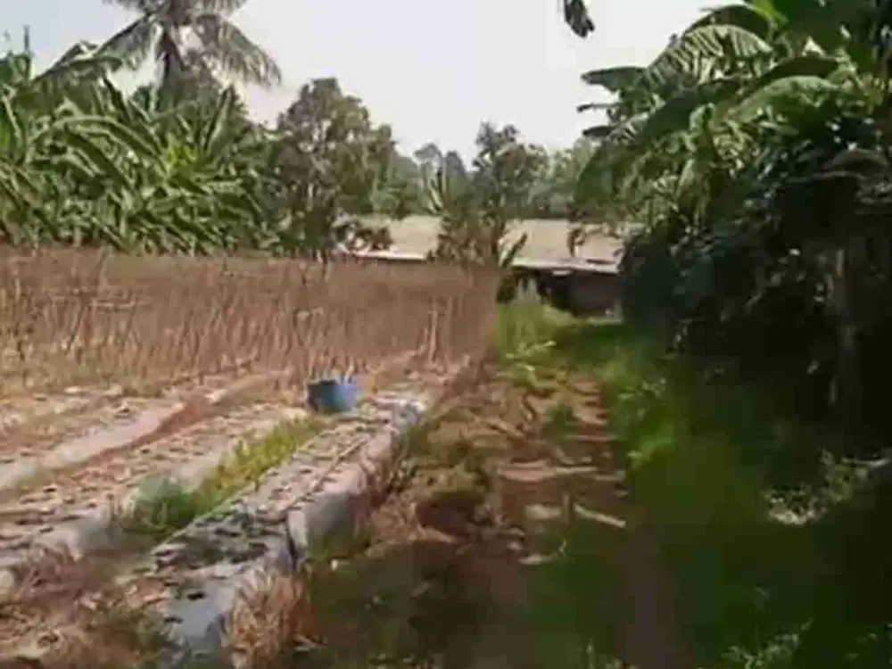 DI JUAL TANAH MURAH SANGAT COCOK UNTUK PERTANIAN PERKEBUNAN DAN PETERNAKAN.LOKASI DATAR DAN LANDAI