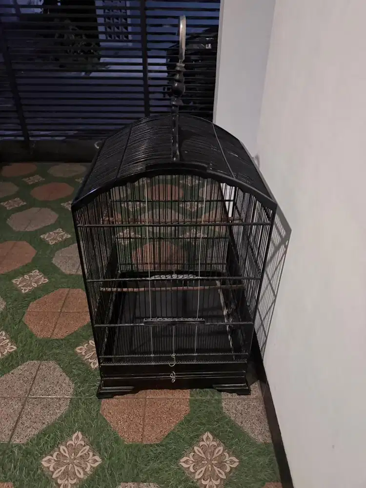 Sangkar bekas burung cucak rowo