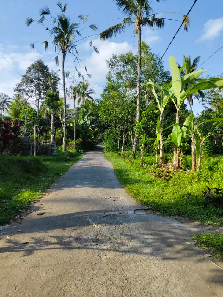 Di jual tanah Luas 1100m² lokasi tegellalang