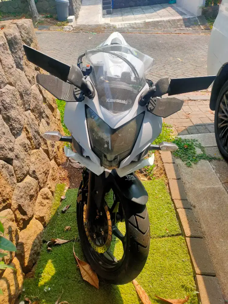 Kawasaki Ninja 250 SL Mono